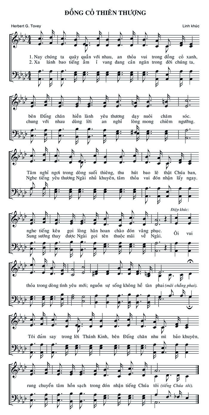 Sheet music: Đồng Cỏ Thiên Thượng