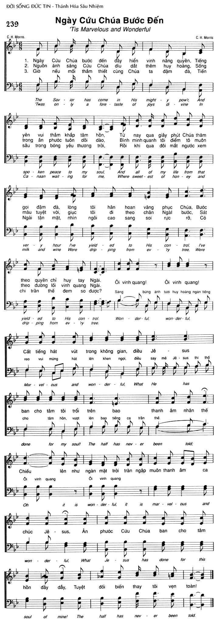 Sheet music: Ngày Cứu Chúa Bước Đến